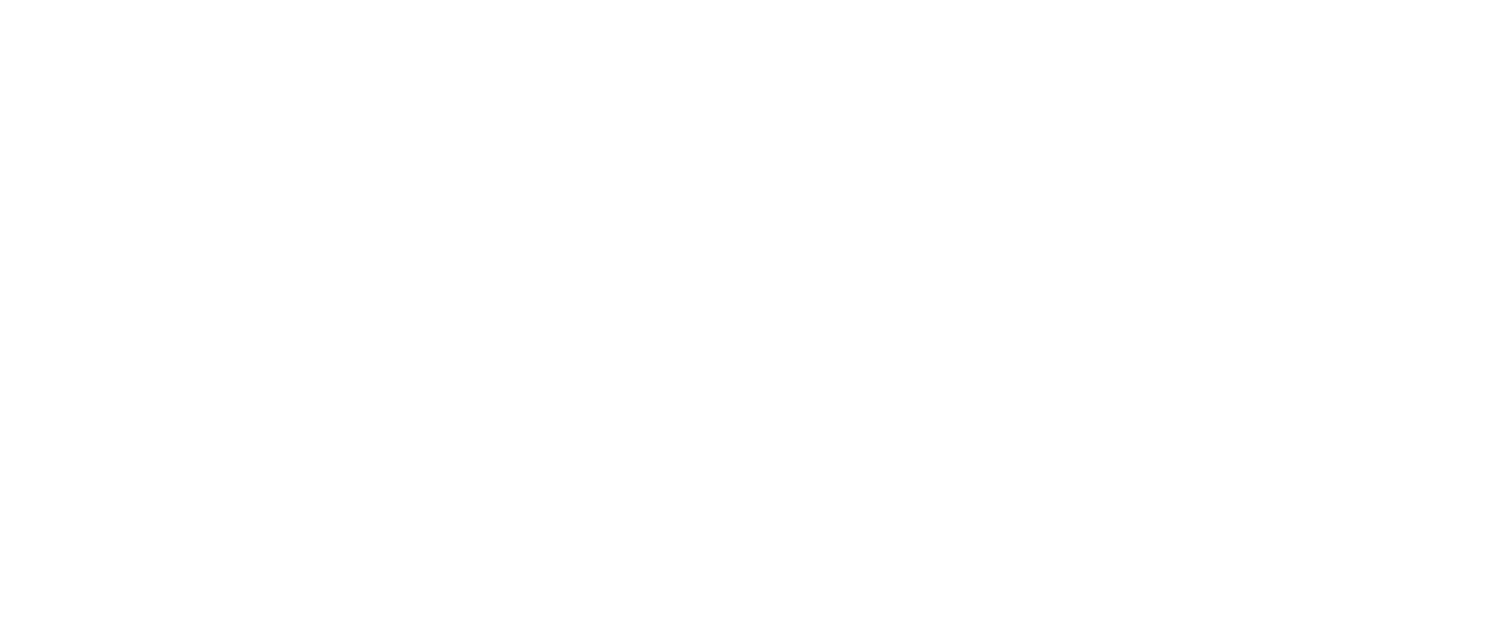 Lead Champion